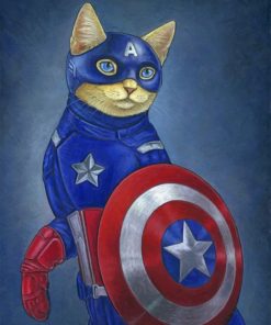 Captain Meow Paint by numbers
