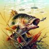 Carp Fish Paint by numbers
