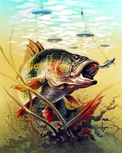 Carp Fish Paint by numbers