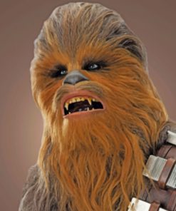 Chewbacca Paint by numbers
