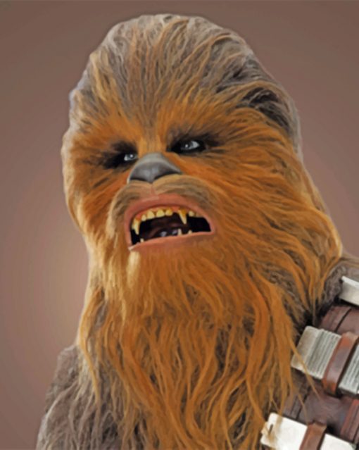 Chewbacca Paint by numbers