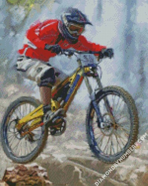 cool mountain biker diamond painting