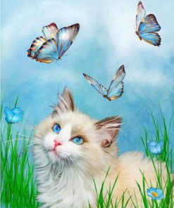 Kitty And Butterflies Paint by numbers
