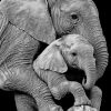 Mom Elephant And Cub Paint by numbers