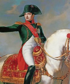 Napoleon Portrait paint by numbers