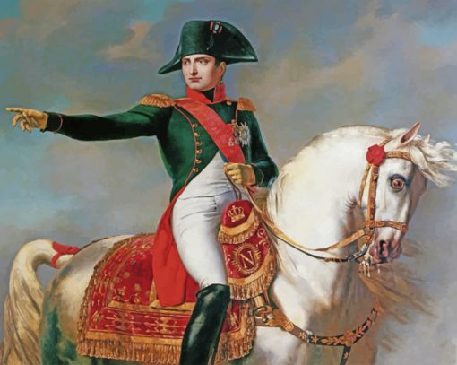 Napoleon Portrait paint by numbers
