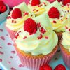 Raspberry White Choc Cupcakes Paint by numbers