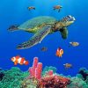 Sea Turtles paint by numbers