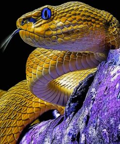 Yellow Serpent Paint by numbers