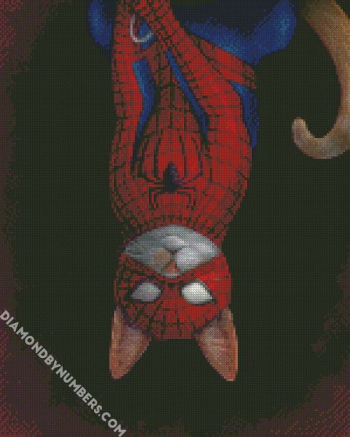 spider cat diamond paintings