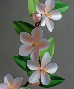 Frangipani Flowers Paint by numbers