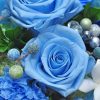 Aesthetic-blue-rose-paint-by-number