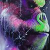 Colored Gorilla paint by numbers