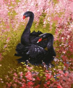 Black Swans paint by numbers