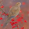 Mourning dove paint by numbers