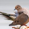 Mourning Dove Piant by numbers