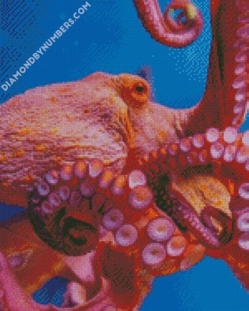 Octopus animal diamond painting