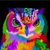 Owl Colorful Pop Art paint by numbers