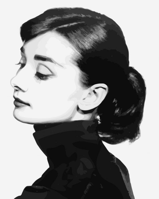 Audrey Hepburn In Black Paint by numbers