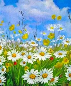 Aesthetic Daisy Field Piant by numbers