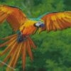 aesthetic flying macaw Diamond Painting