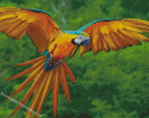 aesthetic flying macaw Diamond Painting