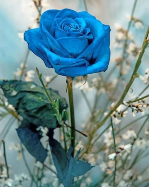 Blue Rose Paint by numbers