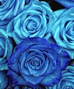 Blue Roses Paint by numbers