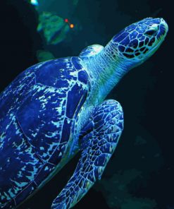 blue-sea-turtle-paint-by-number