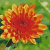 chrysanthemum orange flower diamond paintings