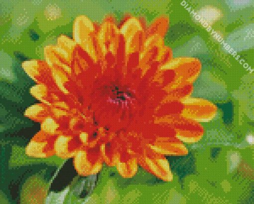 chrysanthemum orange flower diamond paintings