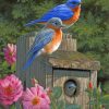 Garden Bluebirds Paint by numbers