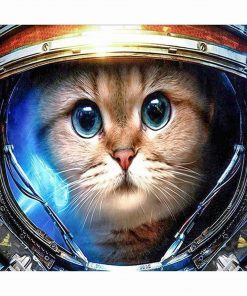 Astronaut Cat paint by numbers
