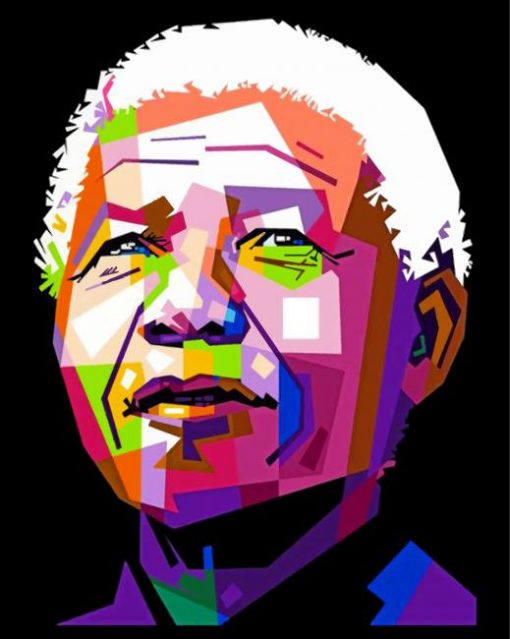 Nelson Mandela paint by numbers