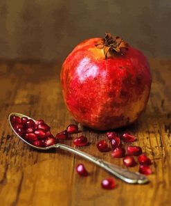 Pomegranate Still Life Photography Piant by numbers