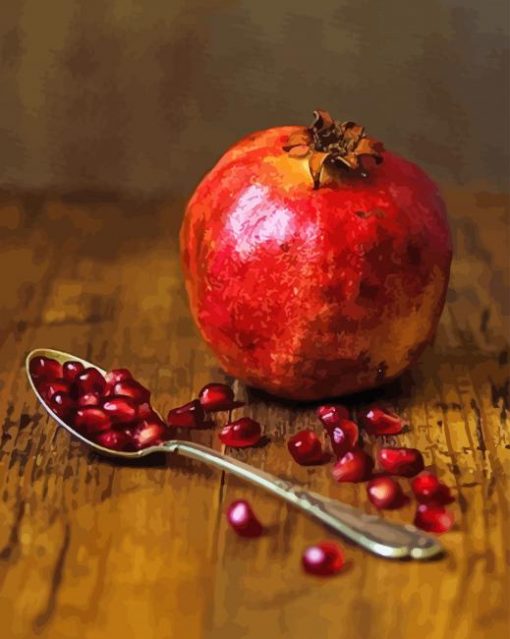 Pomegranate Still Life Photography Piant by numbers