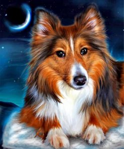 Sheltie Dog Paint by numbers