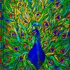 Stained Glass Peacock Paint by numbers