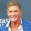 The Actor David Hasselhoff Paint by numbers