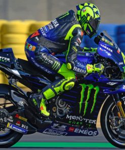 Valentino Rossi Le Mans paint by numbers