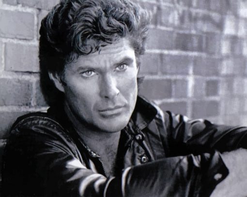 Young David Hasselhoff Piant by numbers
