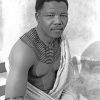 Young Nelson Mandela Piant by numbers