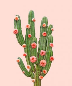 Cactus-And-Pink-Roses-paint-by-number