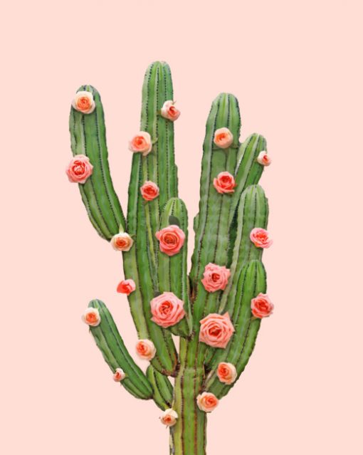 Cactus-And-Pink-Roses-paint-by-number