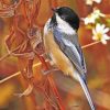 Early-bird-chickadee-paint-by-numbers