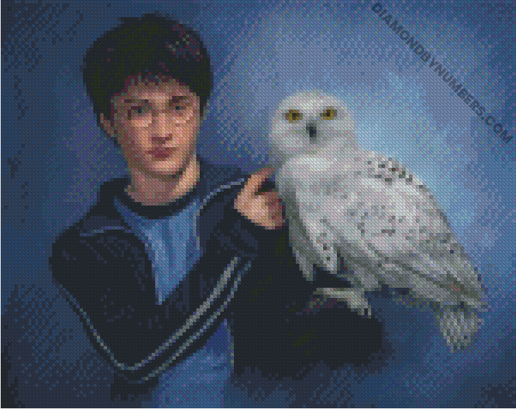 Diamond Painting Post Review ll Hogwarts and Hedwig from Diamond