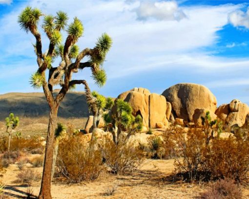 Joshua-Tree-National-Park-california-paint-by-numbers