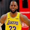 LeBron-James-lakers-paint-by-number