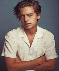 actor-cole-sprouse-paint-by-number