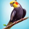 aestheic-cockatiel-bird-paint-by-numbers